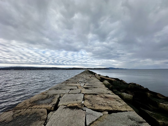 View photos in new tab