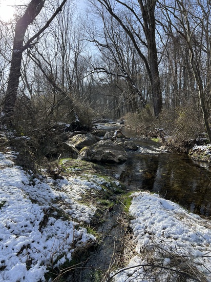 View photos in new tab