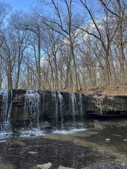 View photos in new tab