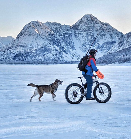 View photos in new tab