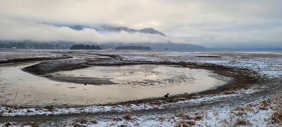 View photos in new tab