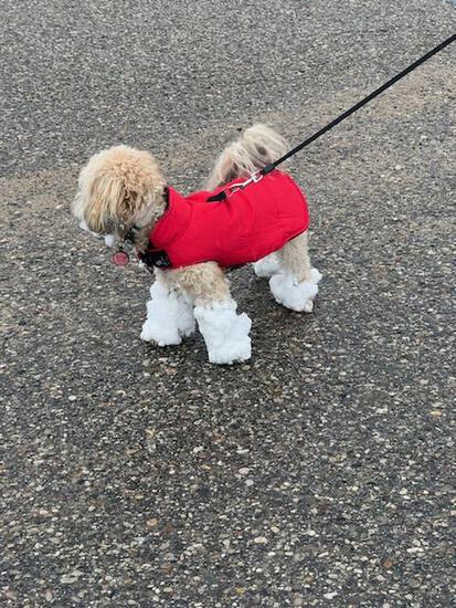 View photos in new tab