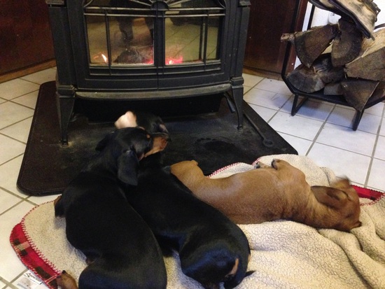 View photos in new tab