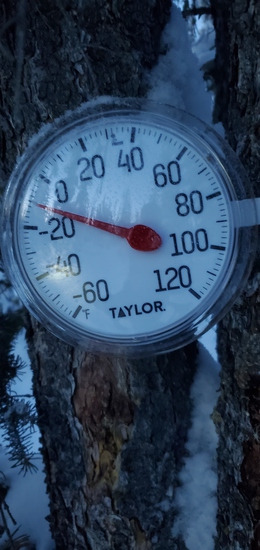 View photos in new tab