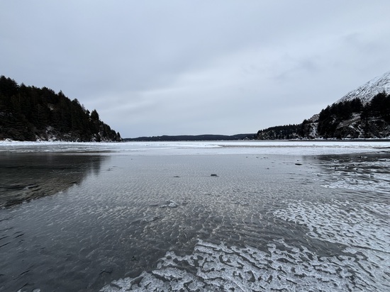 View photos in new tab