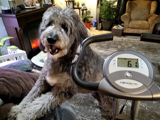 View photos in new tab