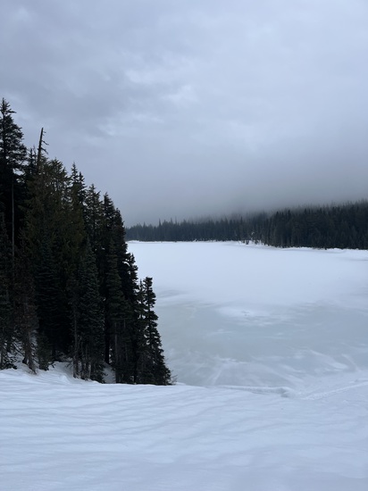 View photos in new tab