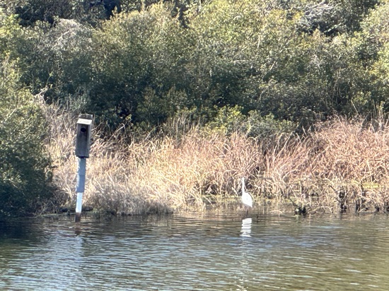 View photos in new tab