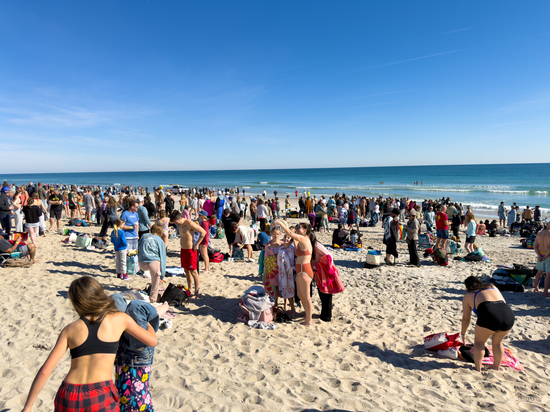 View 2026 Plunge in new tab