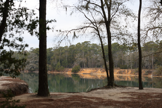 View Finish Line in new tab