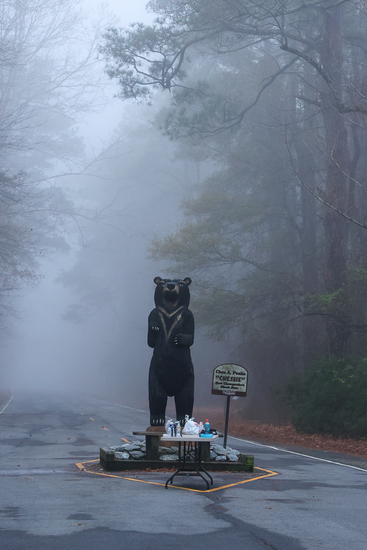 View Candid and Volunteers in new tab