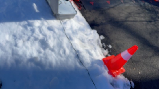 View Metavivor in new tab