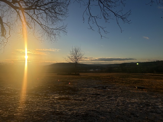 View photos in new tab