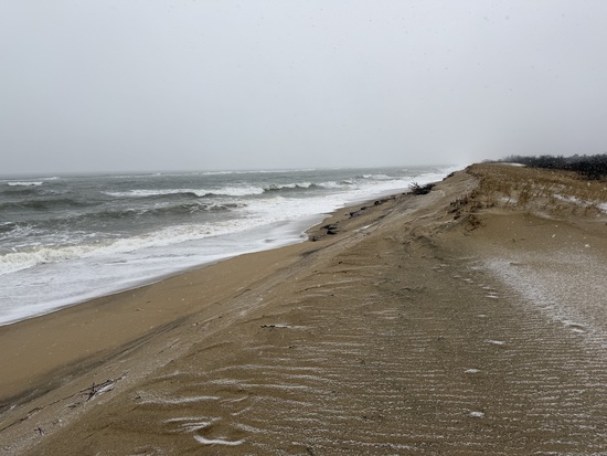 View photos in new tab