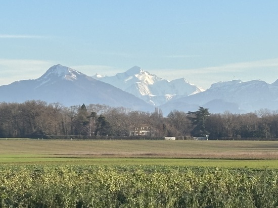 View photos in new tab