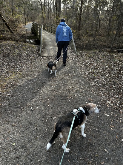 View photos in new tab