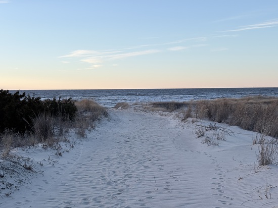 View photos in new tab