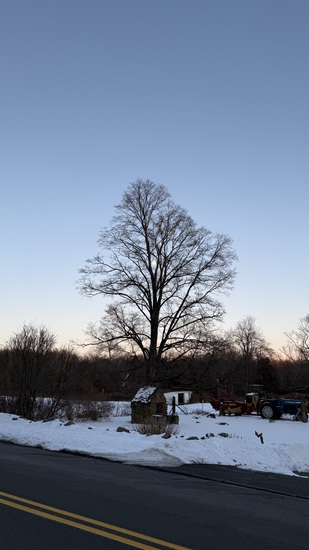 View photos in new tab