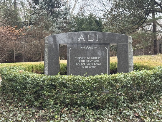 View photos in new tab