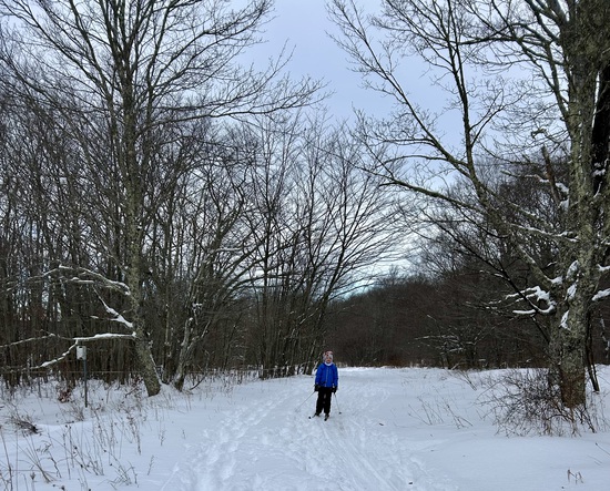 View photos in new tab