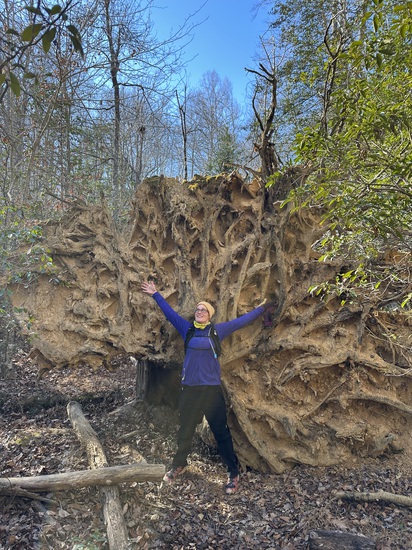 View photos in new tab