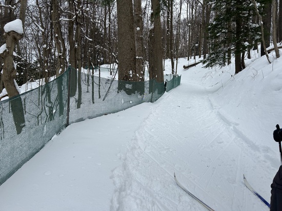 View photos in new tab