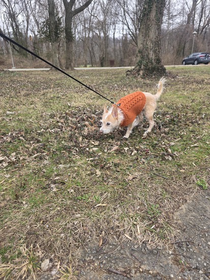 View photos in new tab