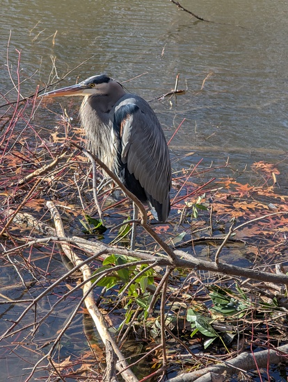 View photos in new tab