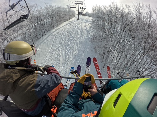 View photos in new tab