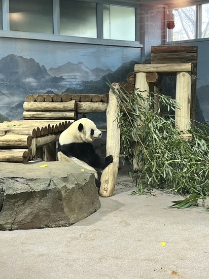 View photos in new tab