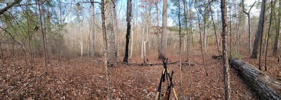 View photos in new tab