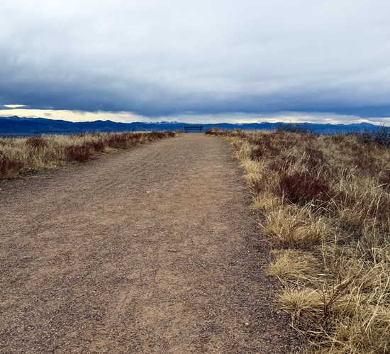 View photos in new tab