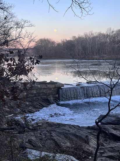 View photos in new tab