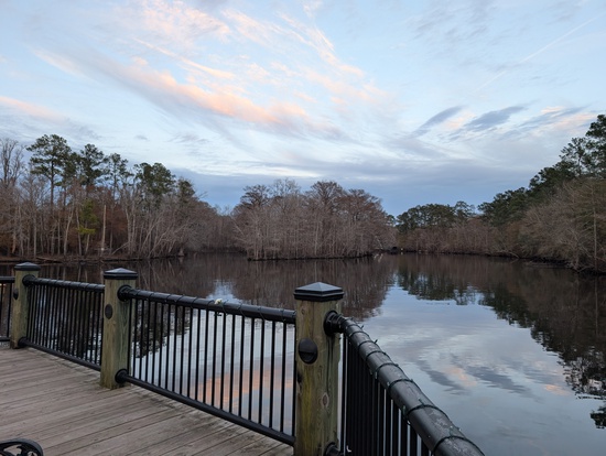 View photos in new tab