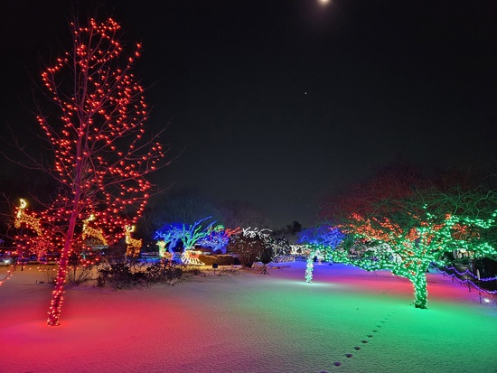 View photos in new tab