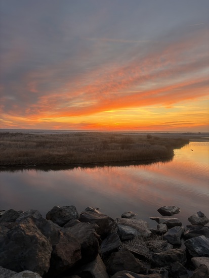 View photos in new tab