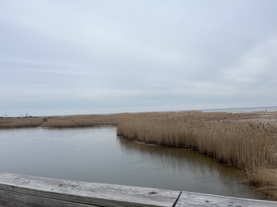 View photos in new tab