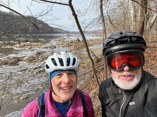 View photos in new tab