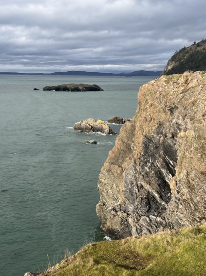 View photos in new tab