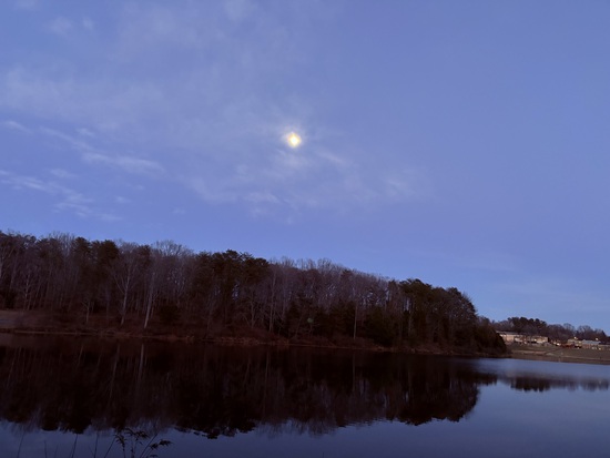 View photos in new tab