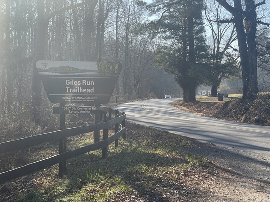 View photos in new tab