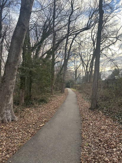 View photos in new tab