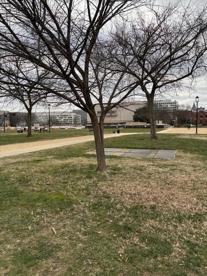 View photos in new tab