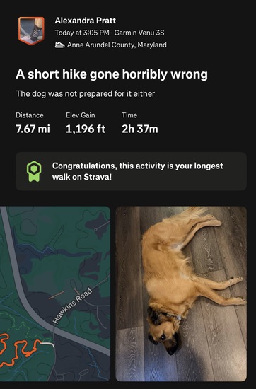 View photos in new tab