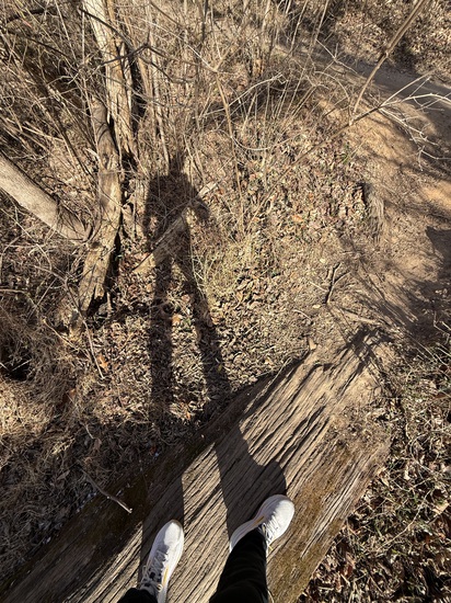 View photos in new tab