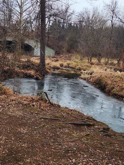 View photos in new tab