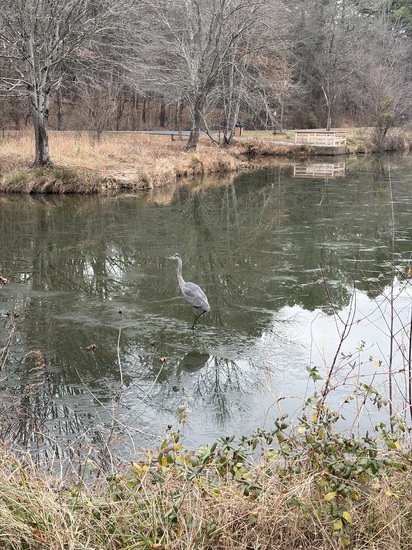 View photos in new tab