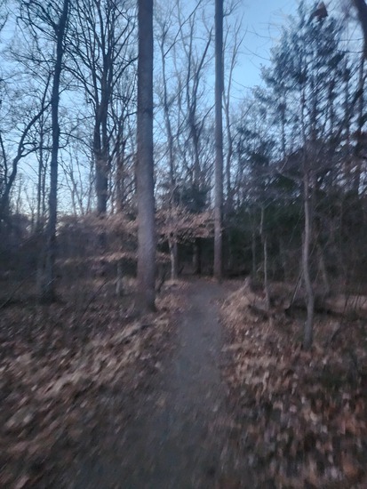 View photos in new tab