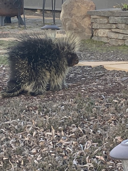 View photos in new tab