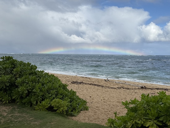 View photos in new tab